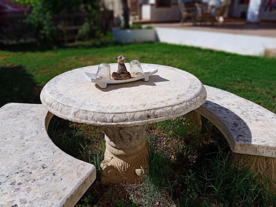 Villa Falconera Apartaments, Gandia A Las Faldas De La Montana Extérieur photo