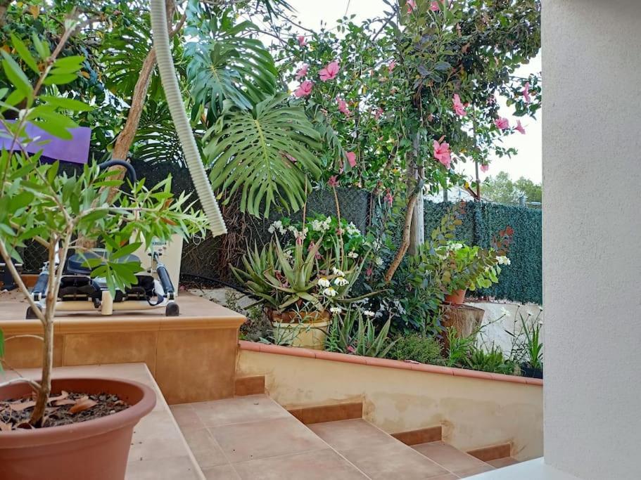 Villa Falconera Apartaments, Gandia A Las Faldas De La Montana Extérieur photo