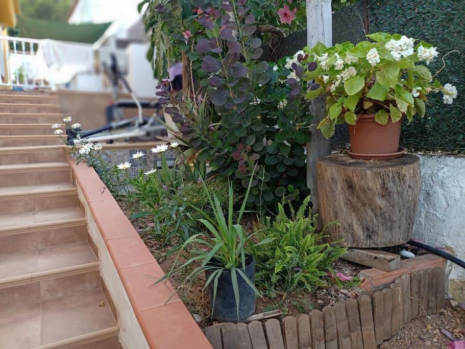 Villa Falconera Apartaments, Gandia A Las Faldas De La Montana Extérieur photo