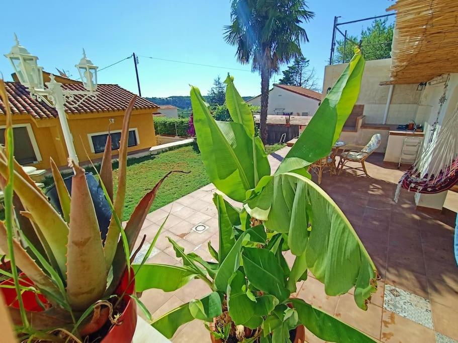 Villa Falconera Apartaments, Gandia A Las Faldas De La Montana Extérieur photo