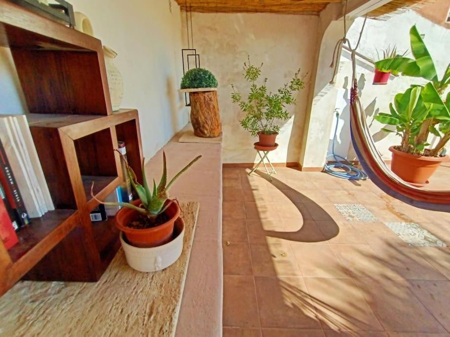 Villa Falconera Apartaments, Gandia A Las Faldas De La Montana Extérieur photo