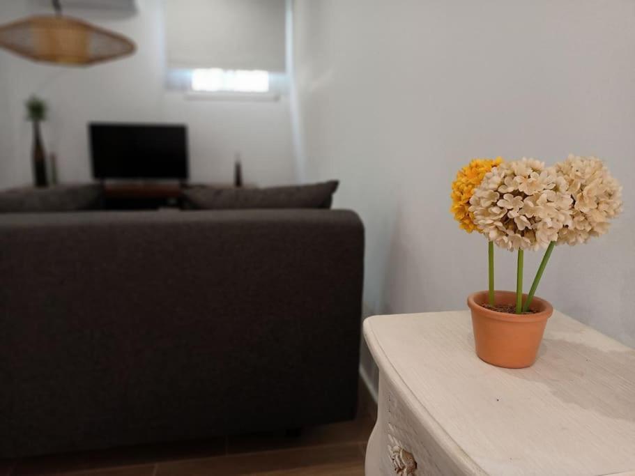 Villa Falconera Apartaments, Gandia A Las Faldas De La Montana Extérieur photo